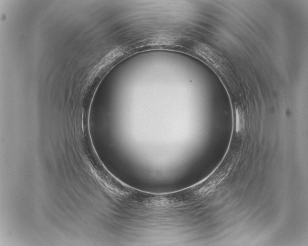 X0000060240253200510281126