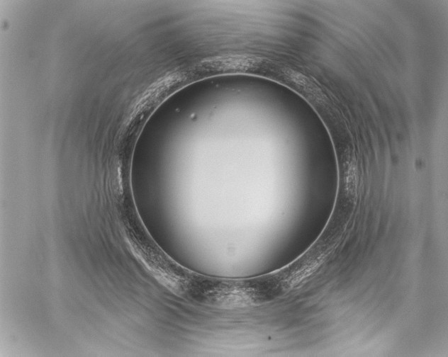 X0000060240254200510281126