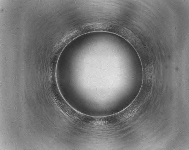 X0000060240255200510281126