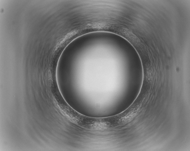 X0000060240256200510281126