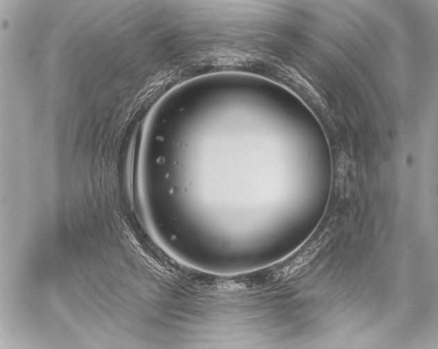 X0000060240257200510281126