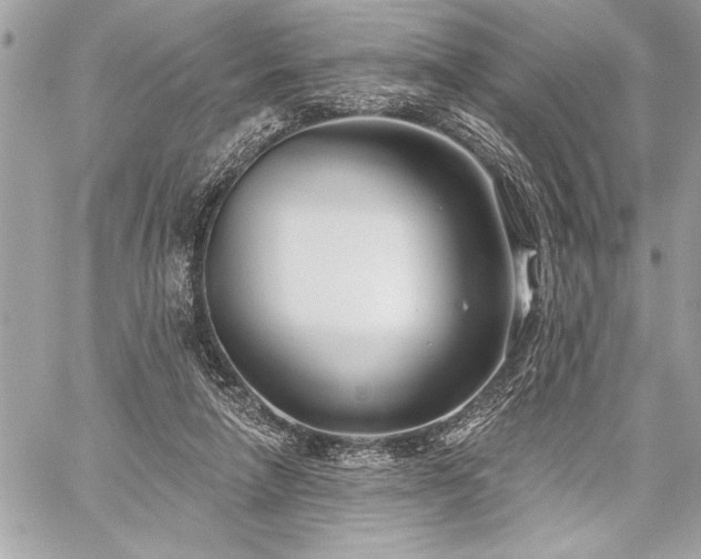 X0000060240258200510281126