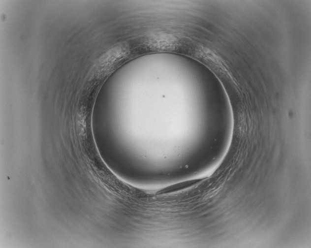 X0000060240259200510281126