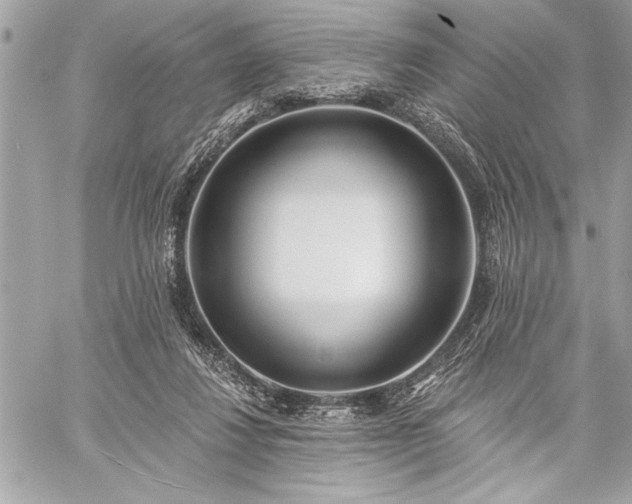 X0000060240260200510281126