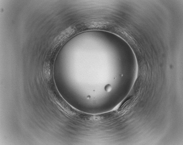 X0000060240261200510281126