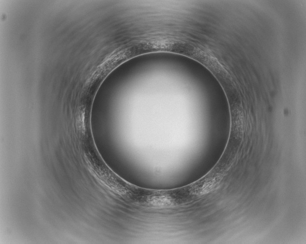 X0000060240262200510281126