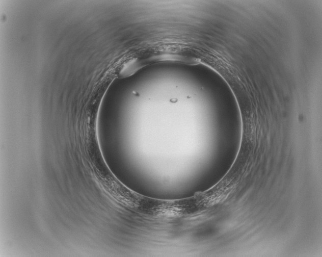 X0000060240263200510281126