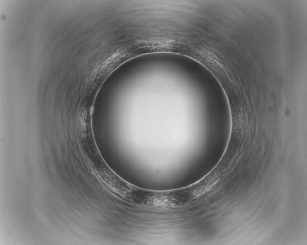 X0000060240264200510281126