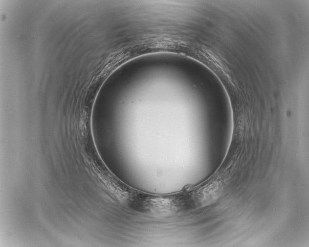 X0000060240265200510281126