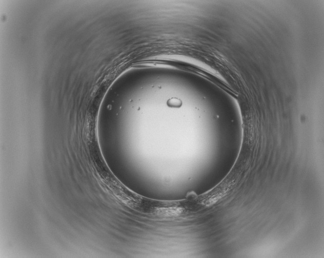 X0000060240266200510281126