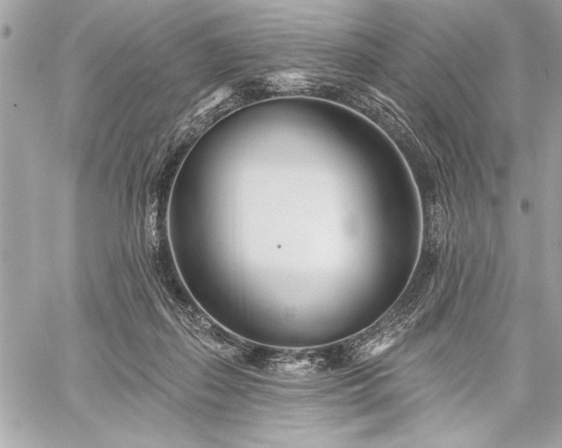 X0000060240267200510281126