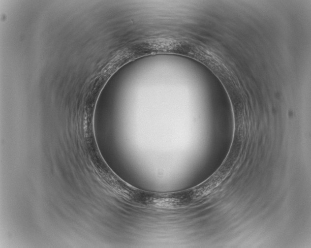 X0000060240268200510281126