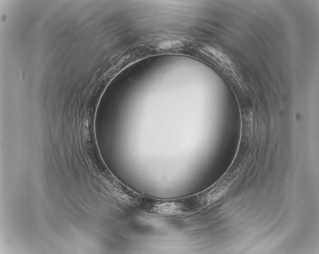 X0000060240269200510281126