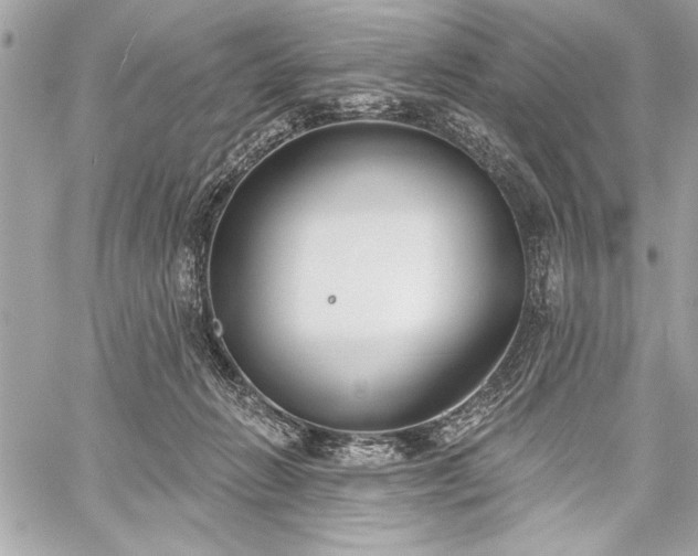 X0000060240270200510281126