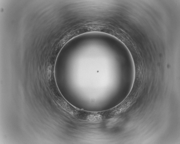 X0000060240271200510281126