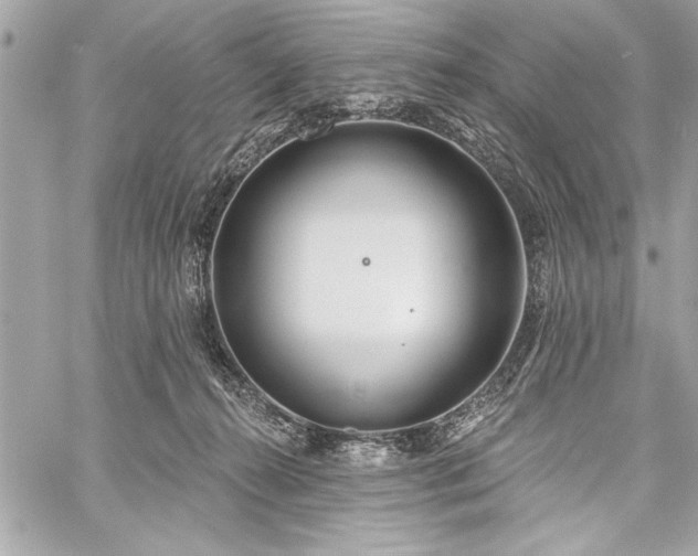 X0000060240272200510281126