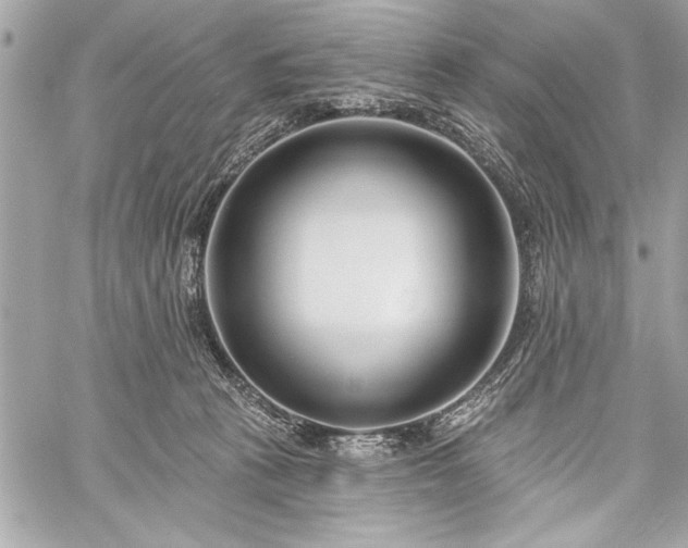 X0000060240273200510281126