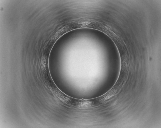 X0000060240274200510281127