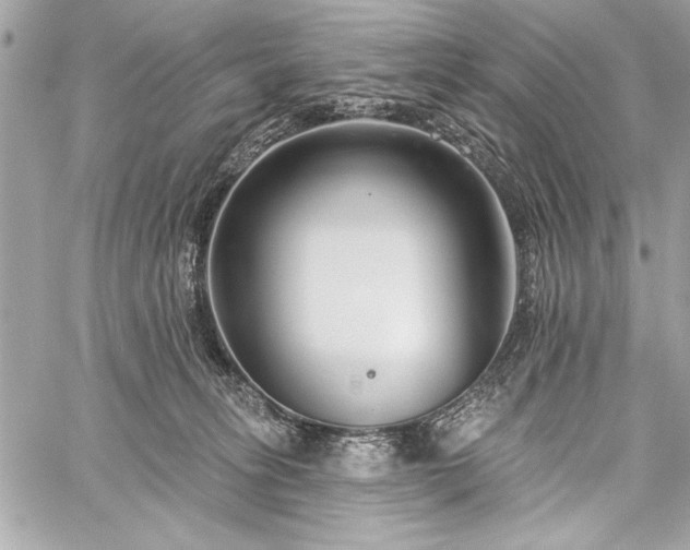 X0000060240275200510281127