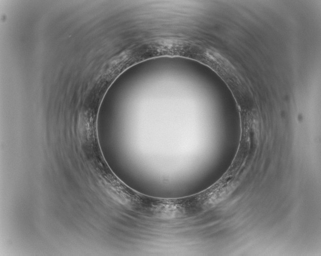 X0000060240276200510281127