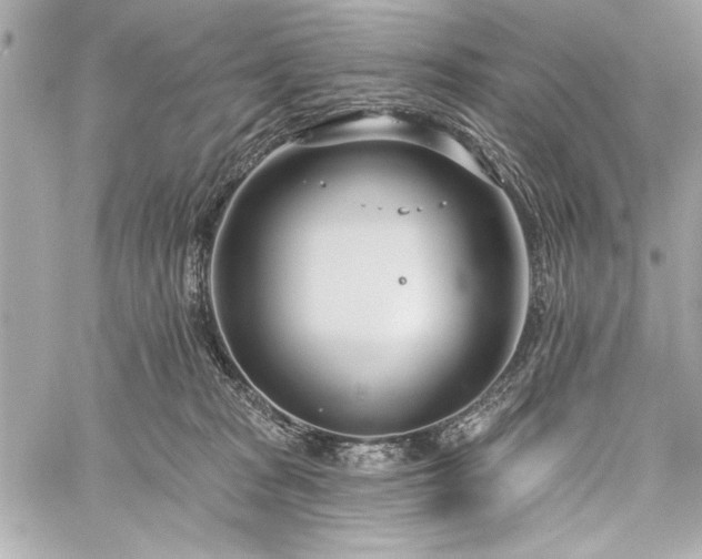 X0000060240277200510281127