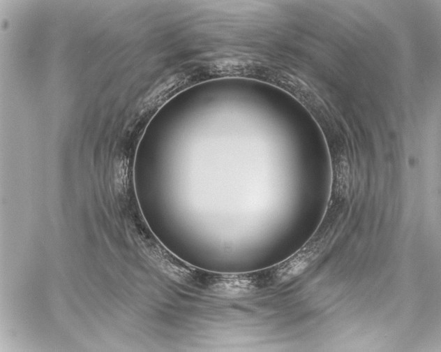 X0000060240278200510281127