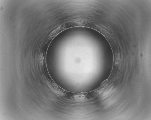 X0000060240279200510281127