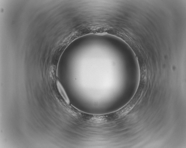 X0000060240280200510281127