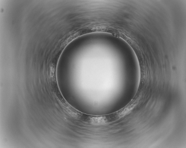 X0000060240281200510281127