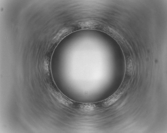 X0000060240282200510281127