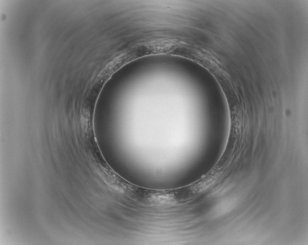 X0000060240283200510281127