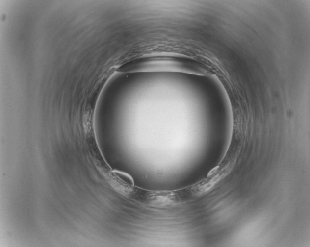 X0000060240285200510281127