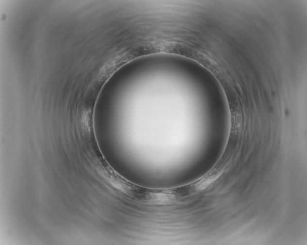 X0000060240286200510281127