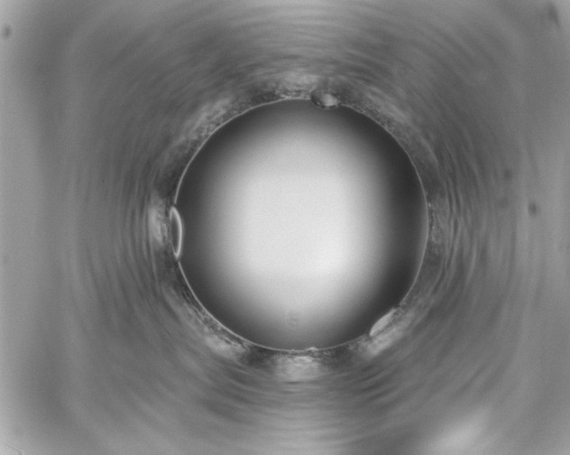 X0000060240287200510281127