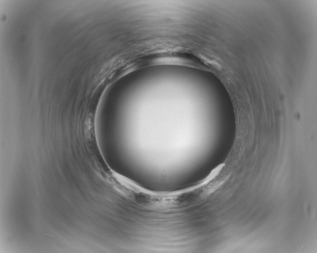 X0000060240288200510281127