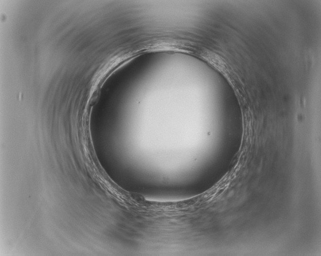 X0000060240289200510281126