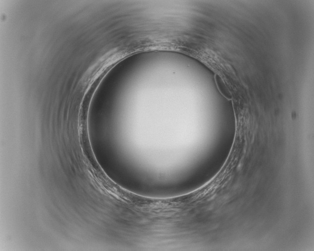 X0000060240290200510281126