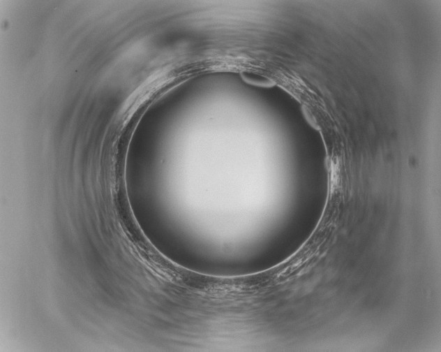 X0000060240291200510281126