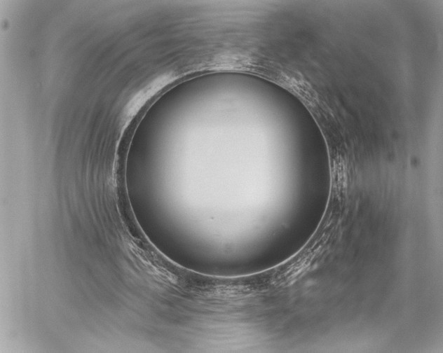 X0000060240292200510281126