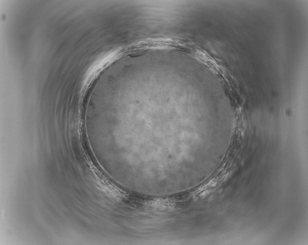 X0000060240293200510281126