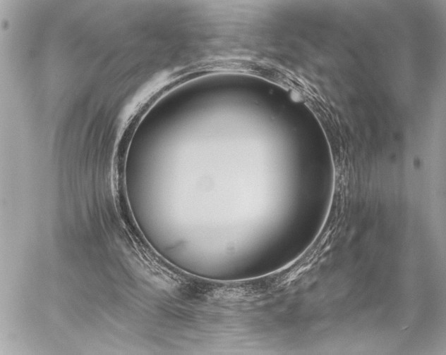 X0000060240294200510281126