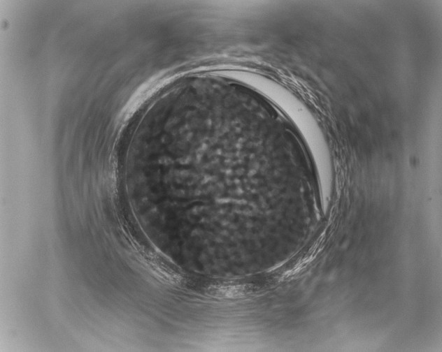 X0000060240295200510281126