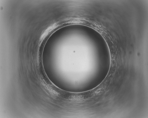 X0000060240296200510281126