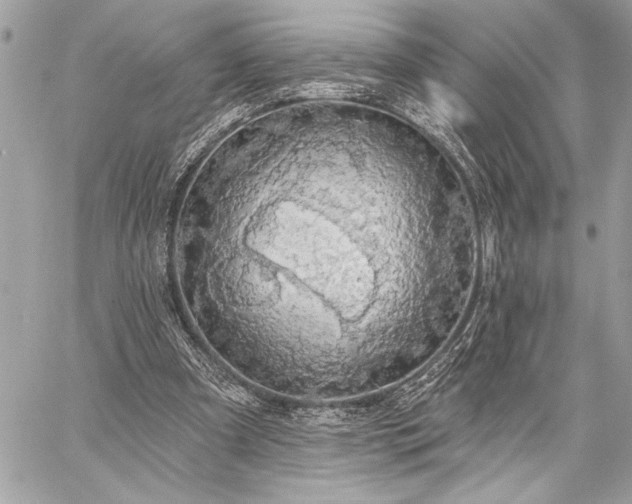 X0000060240297200510281126