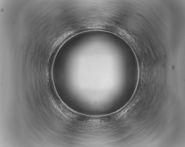 X0000060240298200510281126