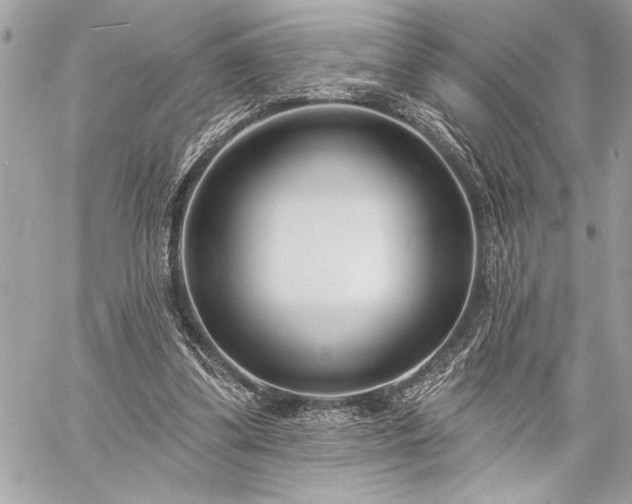 X0000060240299200510281126