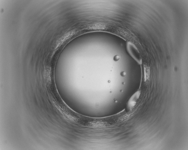 X0000060240300200510281126