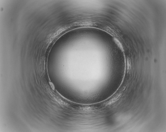 X0000060240301200510281126