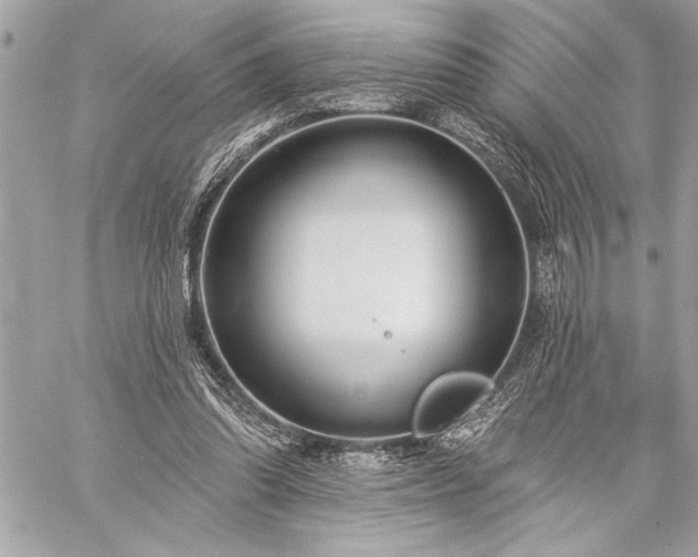 X0000060240302200510281126