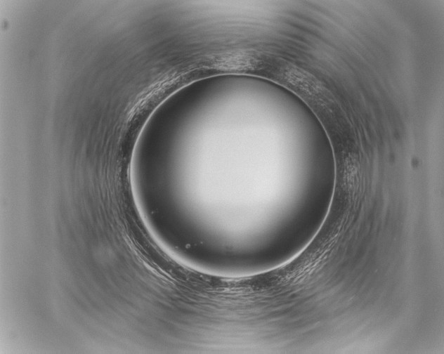 X0000060240303200510281126